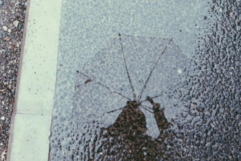 Фотография к новости: Сильный дождь с градом ожидается в большинстве областей Казахстана