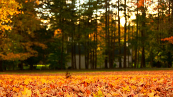 Фотография к новости: Какая погода ожидается в Казахстане 24 октября, рассказали синоптики