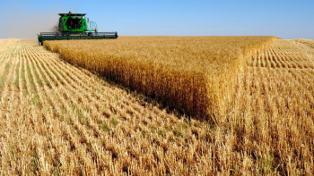 Фотография к новости: Новую методологию по прогнозам урожая разработают в ЕАЭС   