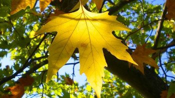 Фотография к новости: Каким будет сентябрь в Казахстане, рассказали синоптики