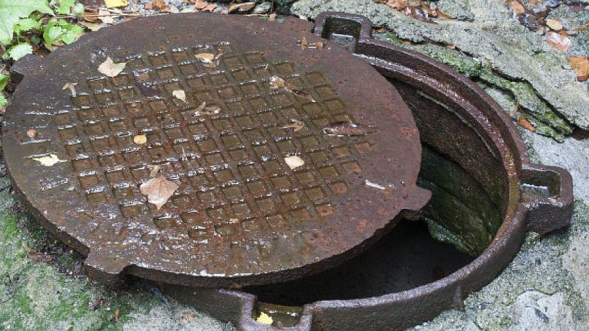  Из открытых источников