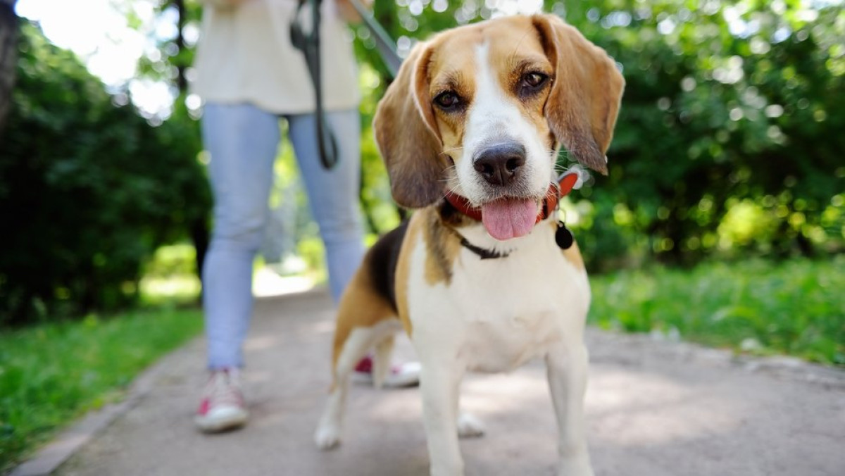  открытые источники