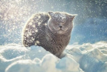 Фотография к новости: Снег, усиление ветра и туман ожидаются в Казахстане 16 февраля 