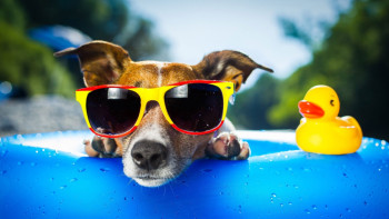 Фотография к новости: Жара придёт на север Казахстана