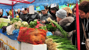 Фотография к новости: Продовольственный пояс вокруг Астаны: в Акмолинской области реализуются 8 проектов