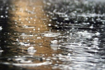 Фотография к новости: Сильные осадки ожидаются на большей части территории страны 28 апреля 