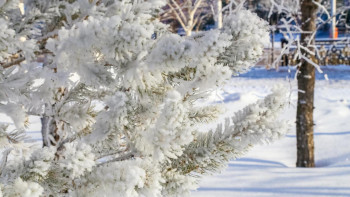 Фотография к новости: Синоптики рассказали о прогнозе погоды в Казахстане 26 февраля