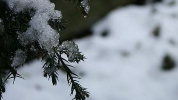 Фотография к новости: Неустойчивая погода ожидает казахстанцев 15 декабря