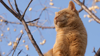Фотография к новости: Погода без осадков сохранится в большинстве областей Казахстана 9 сентября