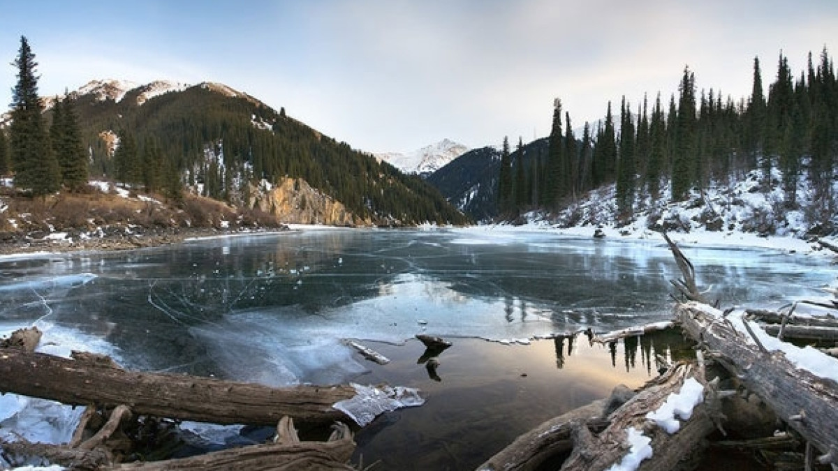  Из открытого источника 