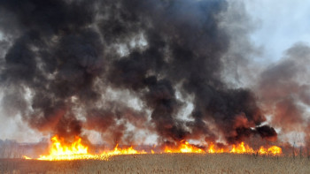 Фотография к новости: Крупный пожар в 3 тысячи га ликвидировали в ВКО