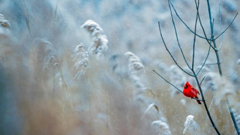 Фотография к новости: В выходные в Казахстане заметно потеплеет