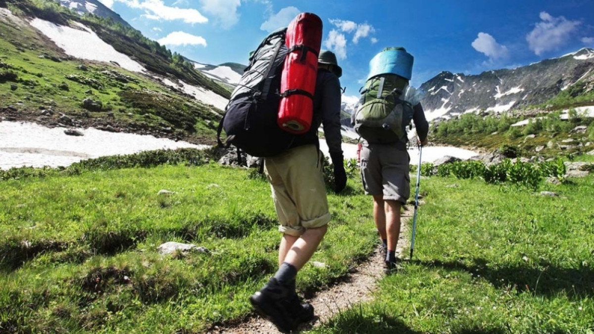  Из открытых источников