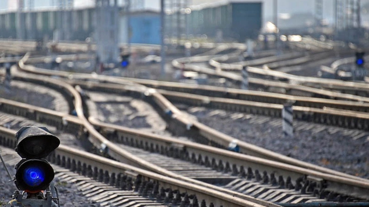  Фото с сайта tvc.ru