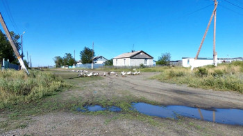 Фотография к новости: Объявить бойкот первому сентября хотят школьники одного из сел Костанайской области 