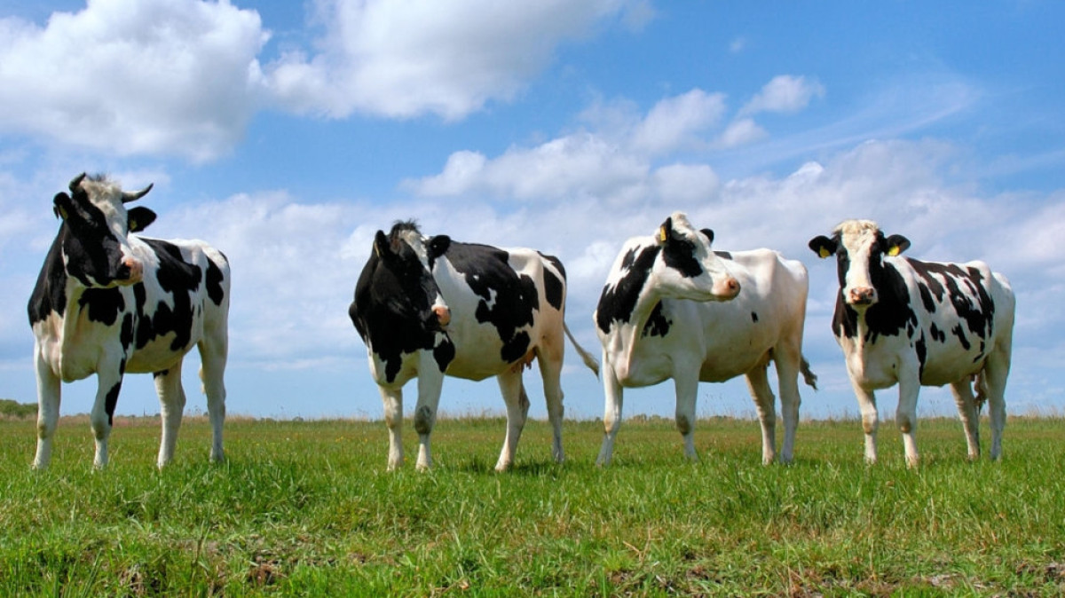  Из открытых источников