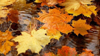 Фотография к новости: Штормовое предупреждение объявлено в Астане и Акмолинской области