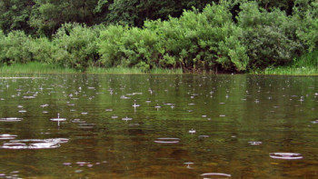 Фотография к новости: Подъём уровня воды в горных реках ожидается в Алматинской области