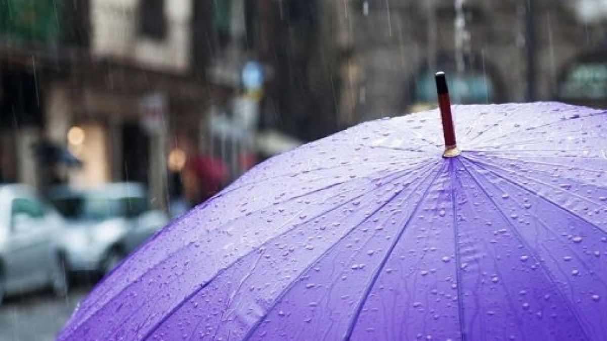  Иллюстративное 