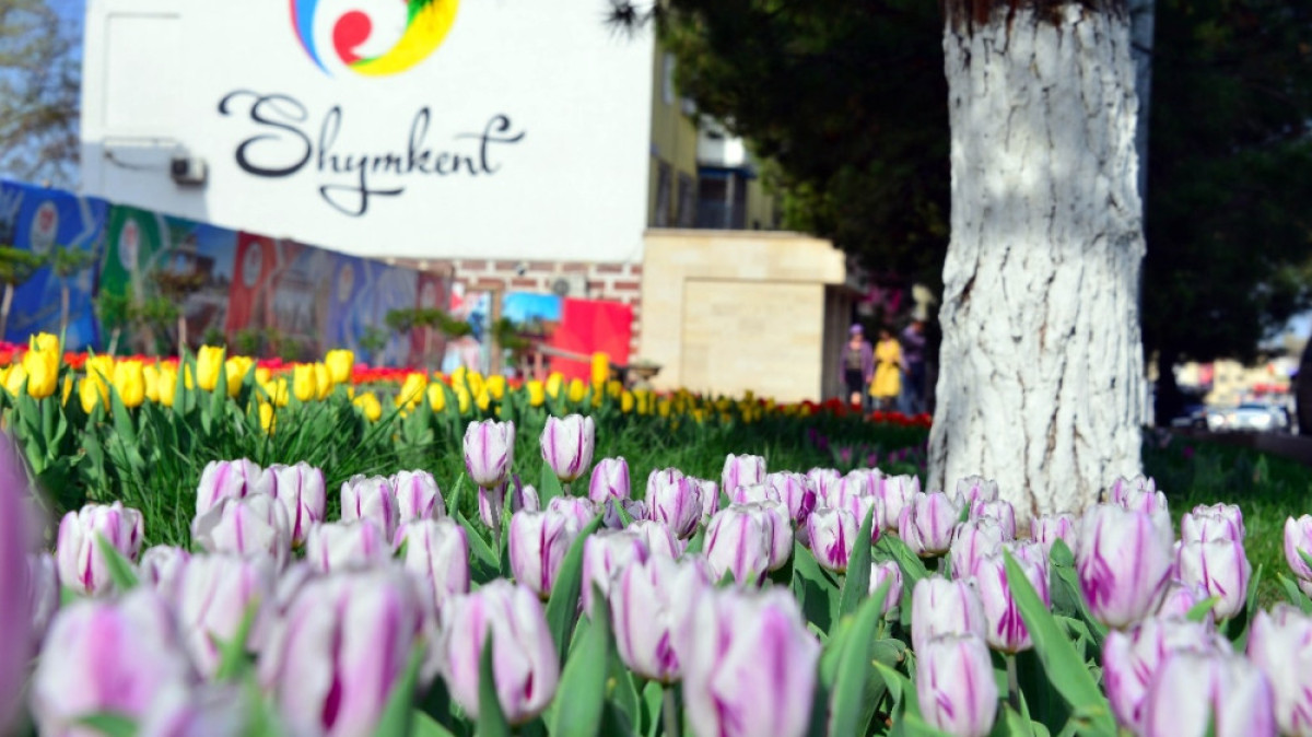  Аппарат акима Шымкента