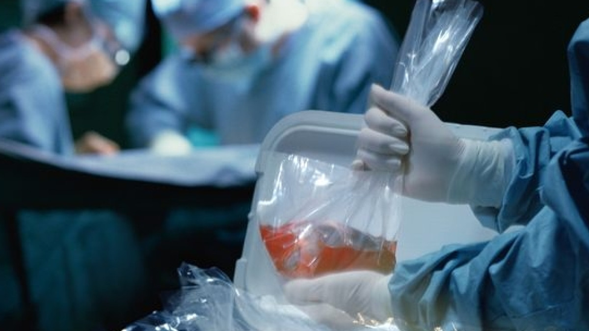  Из открытых источников