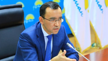 Фотография к новости: Совет по защите прав детей создадут при партии "Нұр Отан"