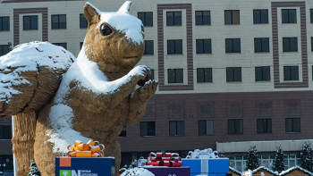 Фотография к новости: Алматинская белка стала подвижной и подмигивает прохожим