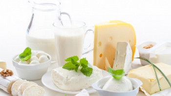 Фотография к новости: Экспорт казахстанской молочной продукции увеличился в 1,5 раза