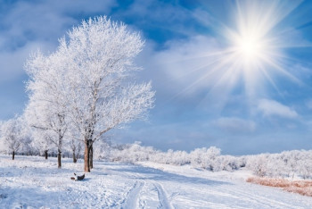 Фотография к новости: Морозная погода ожидает казахстанцев на День независимости