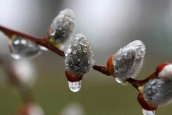 Фотография к новости: Дожди с грозами и порывистый ветер сохранятся на большей части страны 24 апреля 
