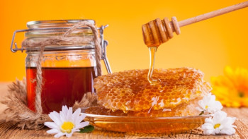 Фотография к новости: На празднование Медового Спаса приглашают жителей Астаны