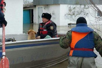 Фотография к новости: 12 тысяч человек задействованы для борьбы с паводками в Казахстане