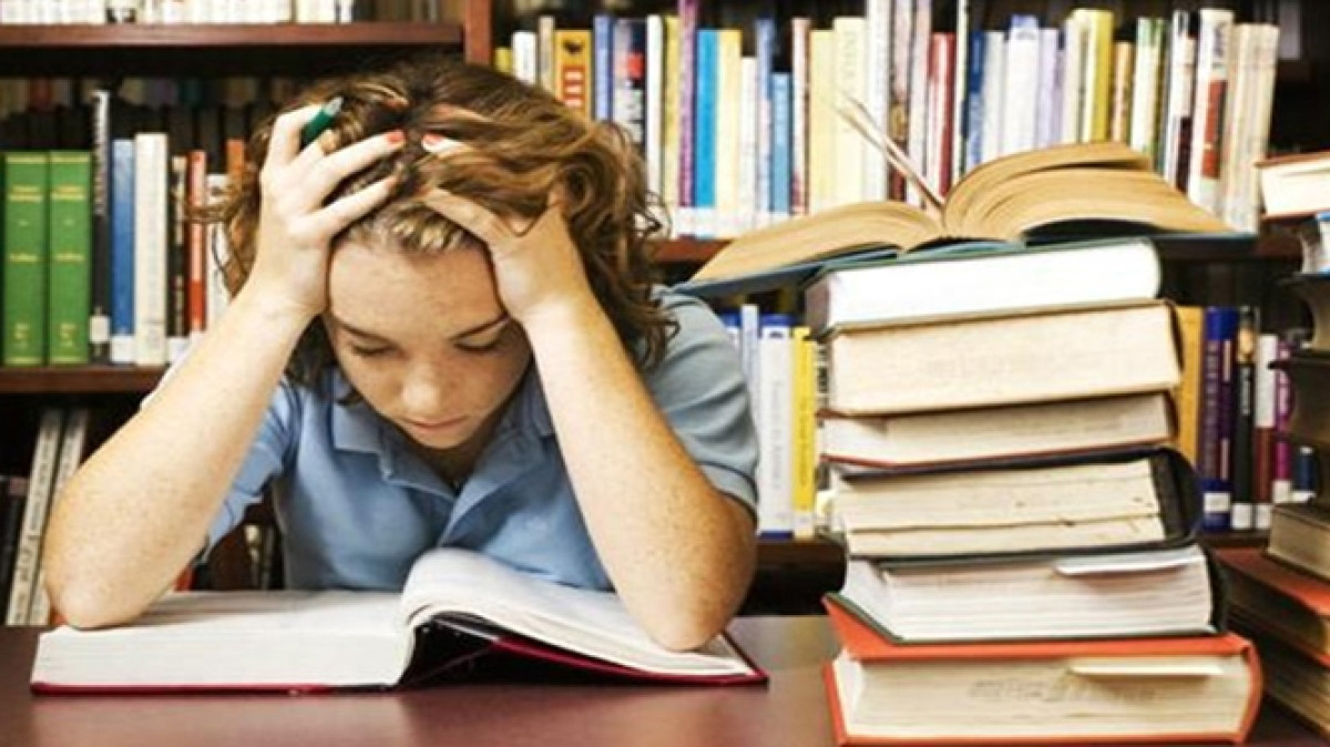  Из открытого источника 