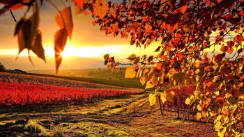 Фотография к новости: Погода без осадков ожидается в Казахстане девятого октября 