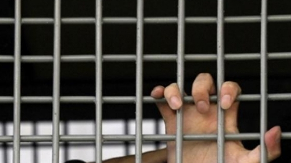  Из открытых источников