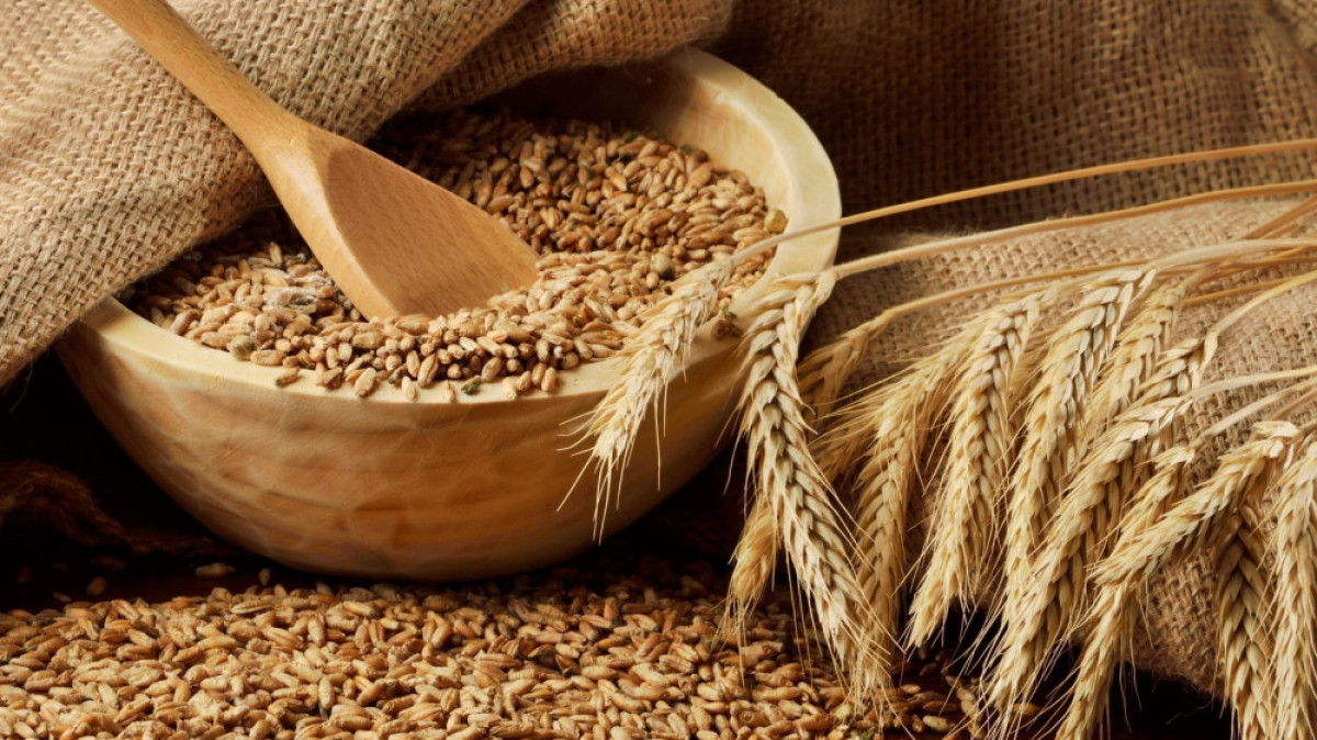  Из открытых источников