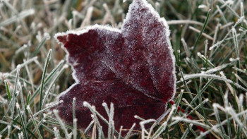 Фотография к новости: Дожди ожидаются на западе и северо-западе республики третьего сентября 
