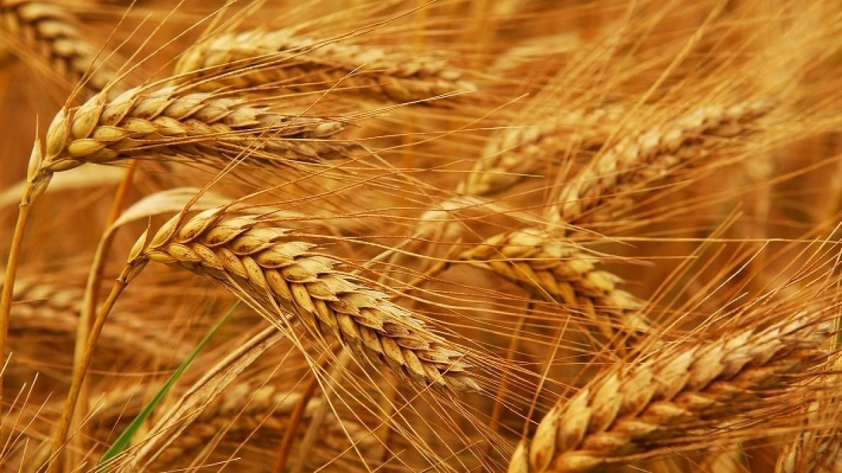  Из открытых источников