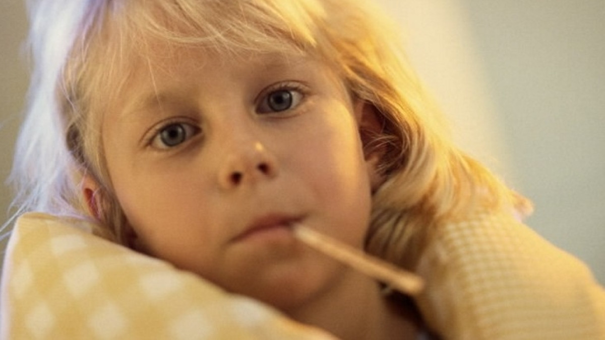  Иллюстративное фото 