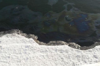 Фотография к новости: Содержание нефтепродуктов в Иртыше превысило норму в 60 раз - специалисты