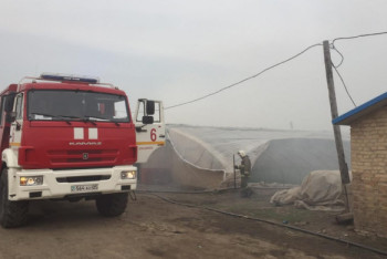 Фотография к новости: Три теплицы сгорели в Алматинской области