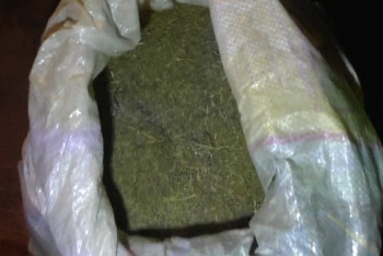 Фотография к новости: Семь килограммов марихуаны изъяли у жителей ВКО