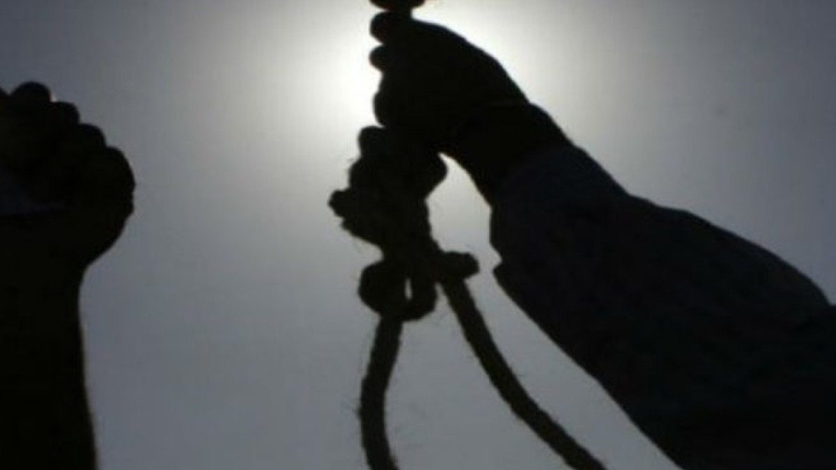  Из открытого источника 