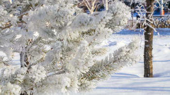 Фотография к новости: Штормовое предупреждение объявили синоптики в ряде областей Казахстана