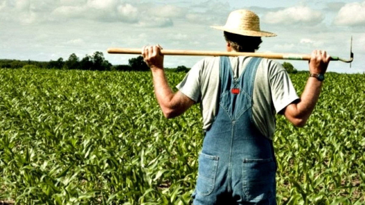  Иллюстративное 