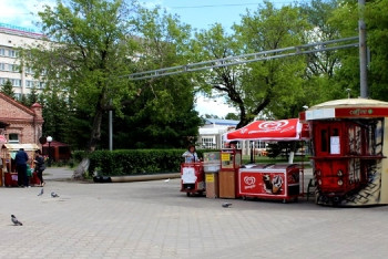 Фотография к новости: Привлекать к общественным работам нелегальных продавцов предлагают в СКО