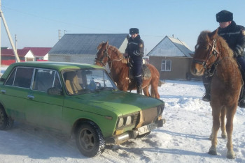 Фотография к новости: Конная полиция задержала автоугонщика на "Жигули" в Уральске