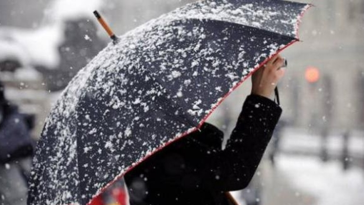  Из открытого источника 