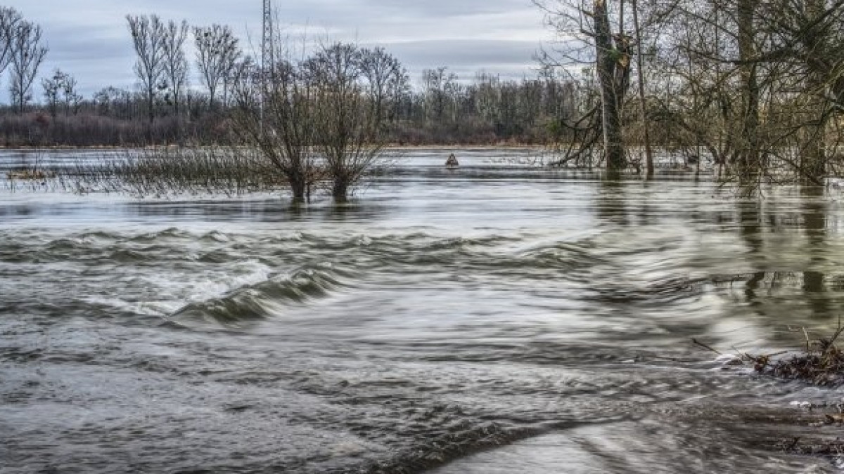  Из открытых источников