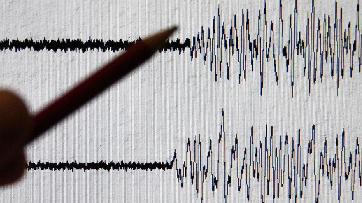  Из открытых источников